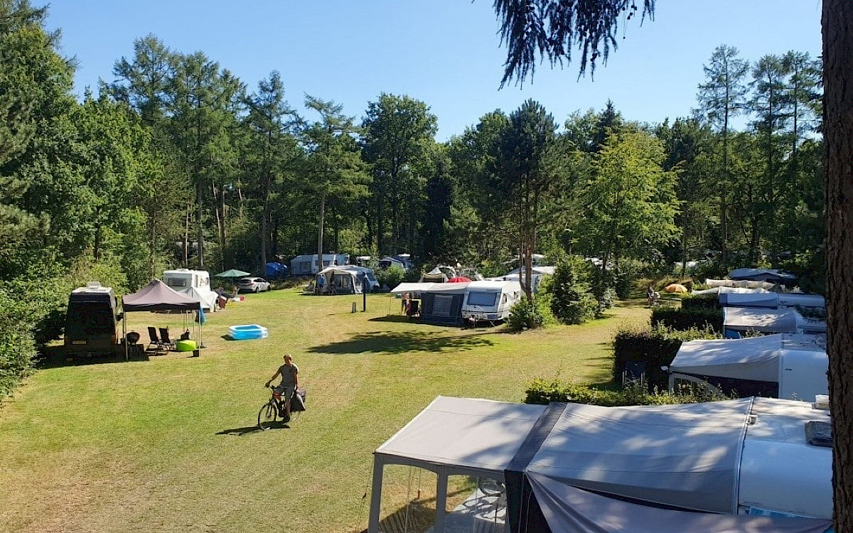 Camping het Horstmannsbos