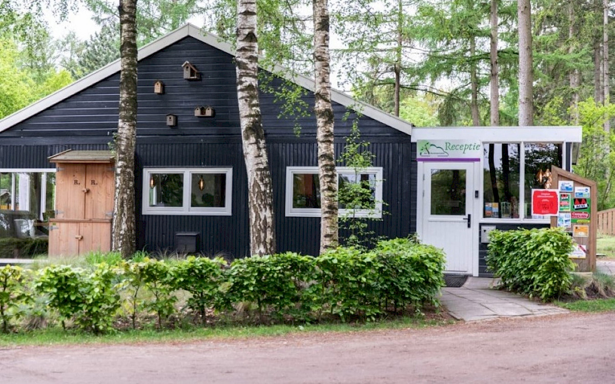 Camping het Horstmannsbos