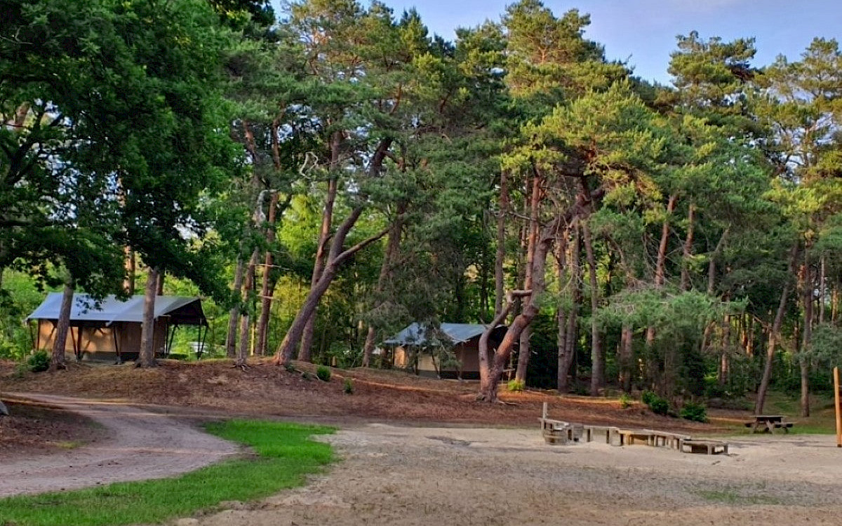 Camping het Horstmannsbos