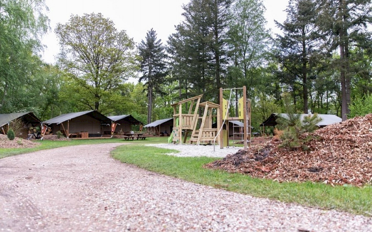 Camping het Horstmannsbos