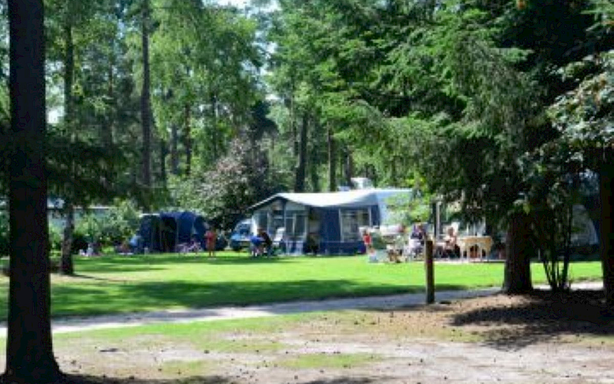 Camping De Rimboe